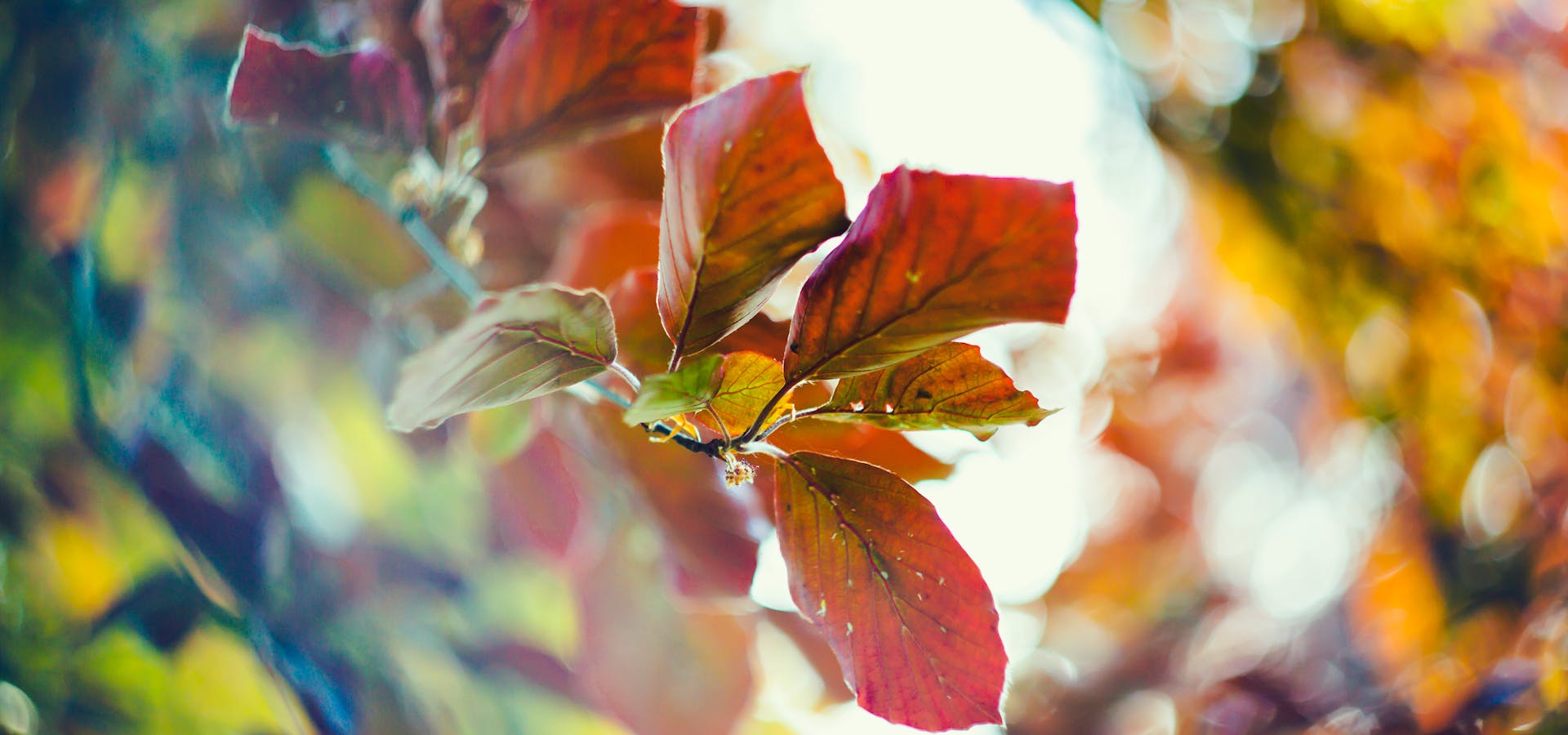 含水率自动监测仪